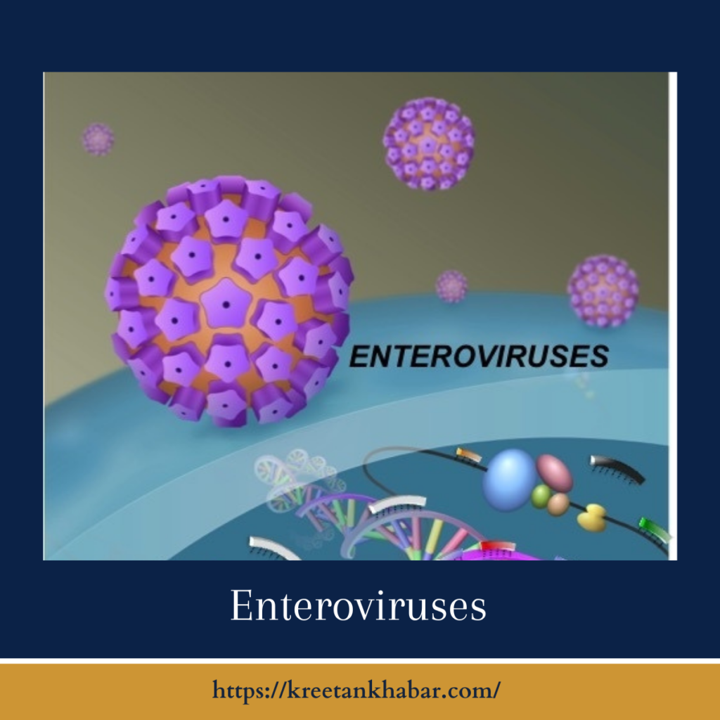 Enteroviruses