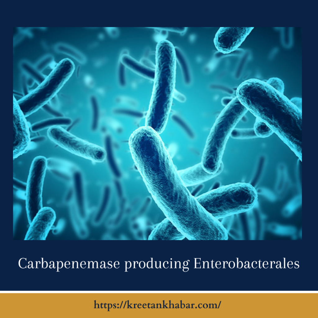 Carbapenemase Producing Enterobacterales