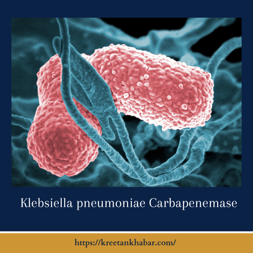 Klebsiella pneumoniae Carbapenemase
